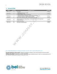 0RQB-30Y05LG Datasheet Page 16