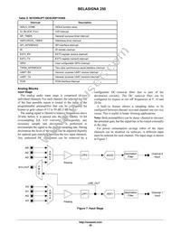 0W888-002-XTP Datasheet Page 20