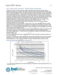 0ZRF0015FF2B Datasheet Page 2