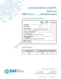 0ZSA0420FF1E Datasheet Page 4