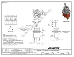 100AWSP1T1B1M1RE Datasheet Cover