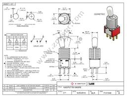 100DP2T7B13M3RE Datasheet Cover