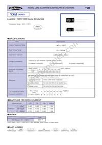 100YXM22MEFCT78X11.5 Datasheet Cover