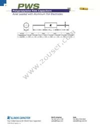 103PWS102KG Datasheet Page 2