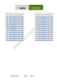 103PWS102KG Datasheet Page 3