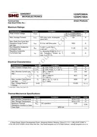 123SPC080A Datasheet Page 2