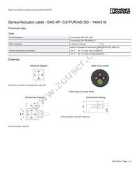 1404318 Datasheet Page 3