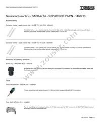 1405713 Datasheet Page 6