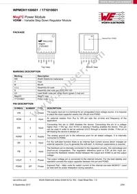 171010601 Datasheet Page 2