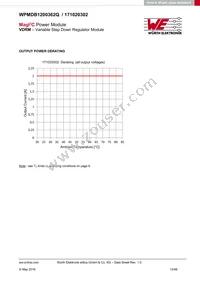 171020302 Datasheet Page 13