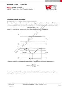 171021501 Datasheet Page 19