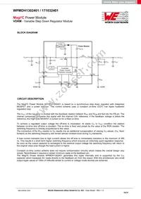 171032401 Datasheet Page 10