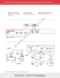 172-A-CRD Datasheet Page 2