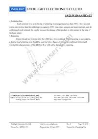 19-21/W1D-ANPHY/3T Datasheet Page 12