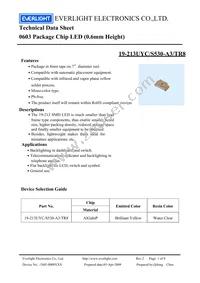 19-213UYC/S530-A3/TR8 Cover