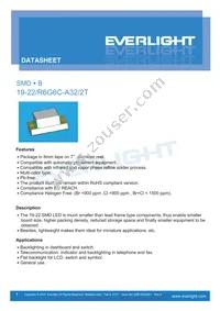 19-22/R6G6C-A32/2T Datasheet Cover