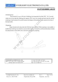 19-237/S2GHBHC-A01/2T Datasheet Page 12