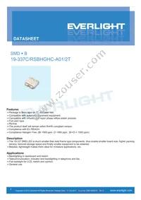 19-337C/RSBHGHC-A01/2T Cover