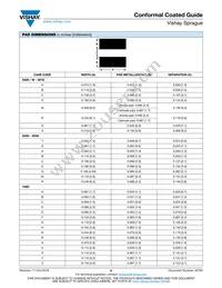 195D107X9010H2T Datasheet Page 18