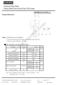 209SDRSYGW/S530-A3 Datasheet Page 2