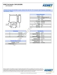 20HV11B102MN Datasheet Cover