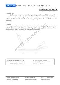 22-23A/R6GTB3C-D01/2C Datasheet Page 13