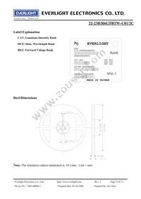 22-23B/R6GTBTW-C01/2C Datasheet Page 9