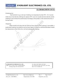 22-23B/R6GTBTW-C01/2C Datasheet Page 13