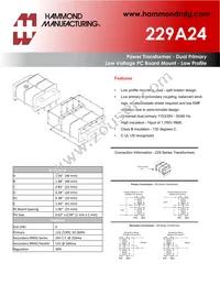 229A24 Datasheet Cover