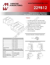 229B12 Datasheet Cover