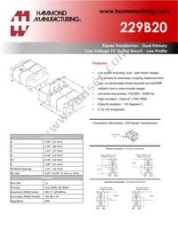 229B20 Datasheet Cover