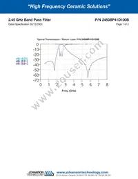 2450BP41D100B Datasheet Page 2