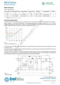 24IBX15-50-0ZG Datasheet Page 2