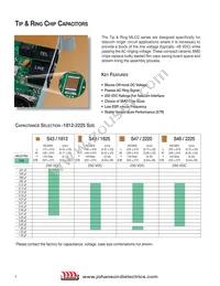 251S48W105KV4E Datasheet Cover