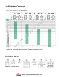 251S48W105KV4E Datasheet Page 2