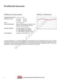 251S48W105KV4E Datasheet Page 3