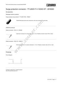 2818083 Datasheet Page 4