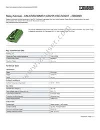 2900899 Datasheet Cover