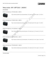 2900931 Datasheet Page 19