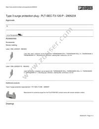 2905234 Datasheet Page 5