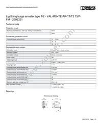 2906321 Datasheet Page 3