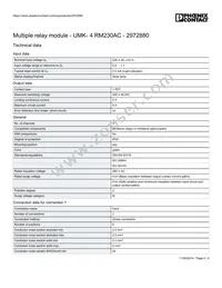 2972880 Datasheet Page 2