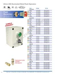 2AS2-4 Datasheet Page 20