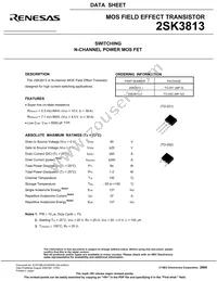 2SK3813-Z-E1-AZ Datasheet Page 3