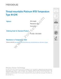 30010000 Datasheet Page 3