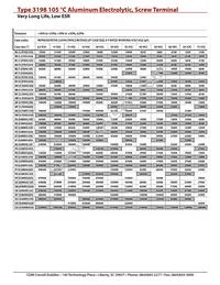 3198FE313U050KMA5 Datasheet Page 2