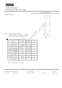 333-2UYC/S400-A9 Datasheet Page 2