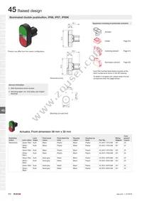 45-2P06.2E10.000 Datasheet Page 22