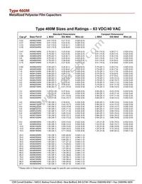460M40592-100 Datasheet Page 5
