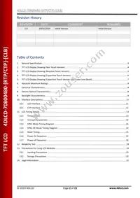 4DLCD-70800480-CTP Datasheet Page 2